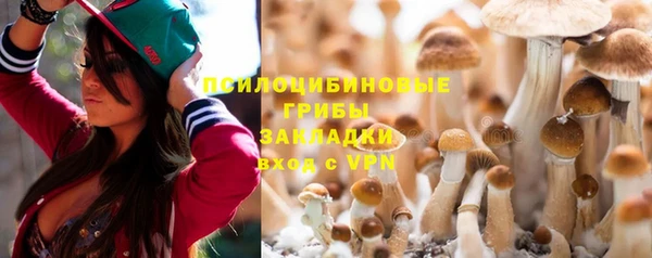 мет Аркадак