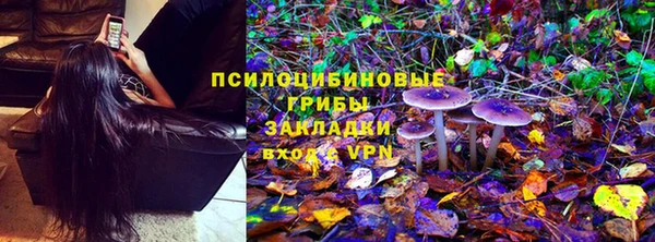 прущий лед Арсеньев