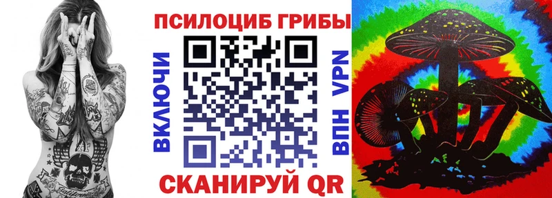 Псилоцибиновые грибы мухоморы  ОМГ ОМГ маркетплейс  сайты даркнета состав  Покровск 